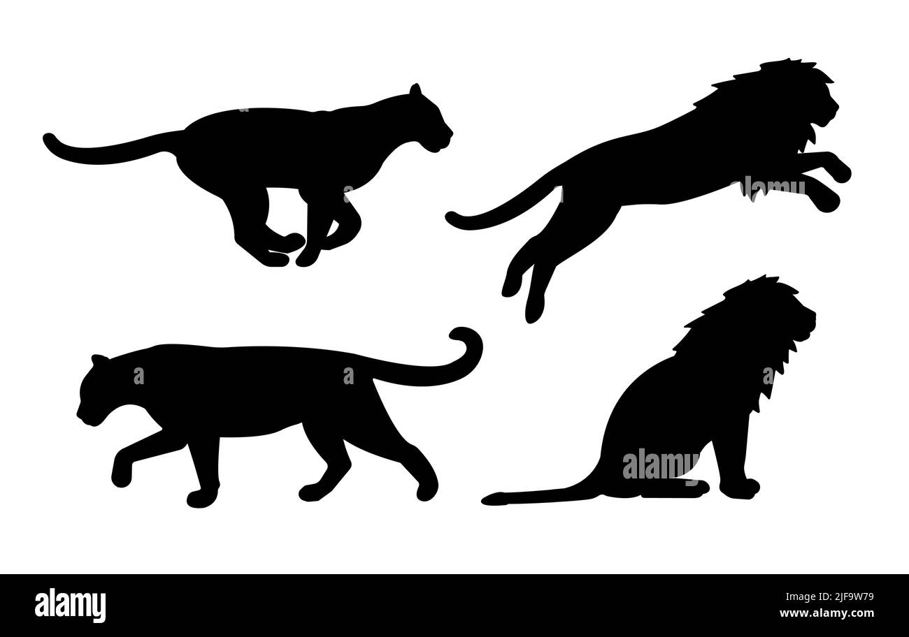 Vektor-Set von flachen Löwen Silhouette isoliert auf weißem Hintergrund Stock Vektor