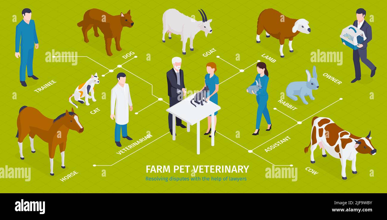 Isometrische Veterinär-Infografiken mit editierbaren Textunterschriften Zeichen von medizinischem Personal mit Master-Haustieren und Tieren Vektordarstellung Stock Vektor