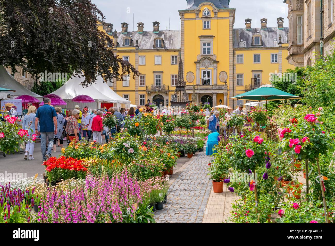 Blumen, Dekoration vor dem Schloss, Landpartie Schloss Bueckeburg, Schaumburger Land, Niedersachsen, Deutschland Stockfoto