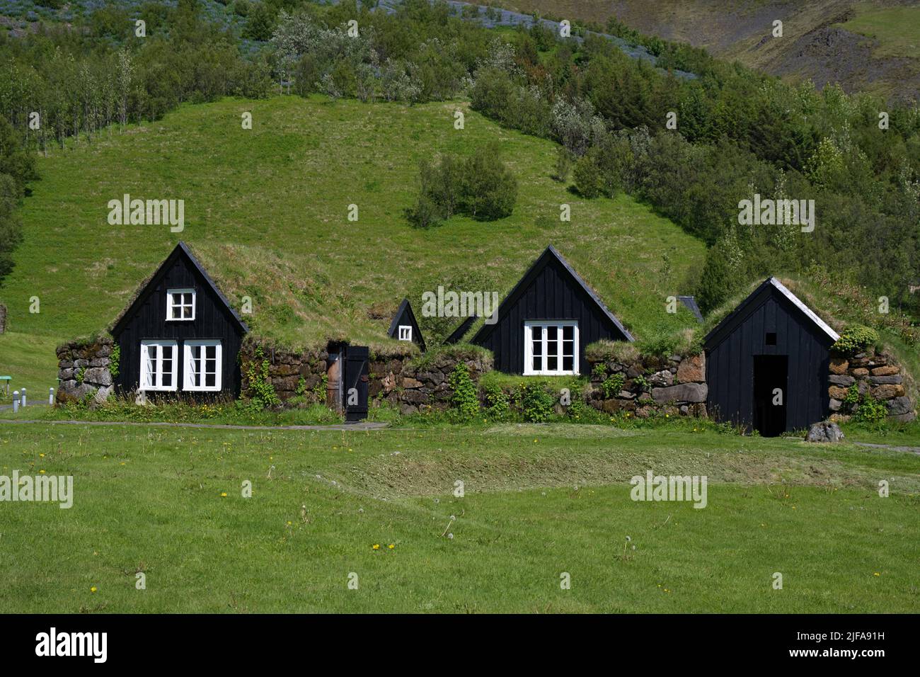 Torfhäuser im Skogar Museum Village, Island Stockfoto