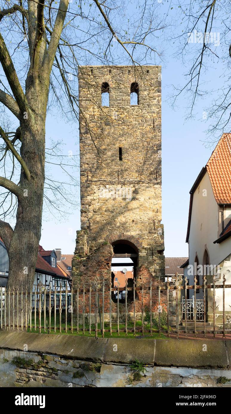 Schlosskapelle St. Martinus, Westerholt, Herten, Ruhrgebiet, Nordrhein-Westfalen, Deutschland Stockfoto
