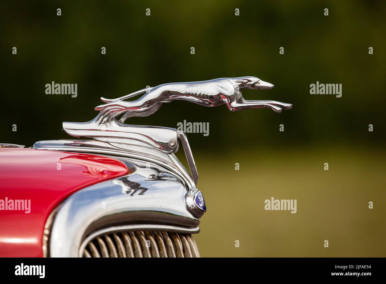 Kühlerfigur, Greyhound, auf einem Oldtimer von Ford, Vaermland, Schweden Stockfoto