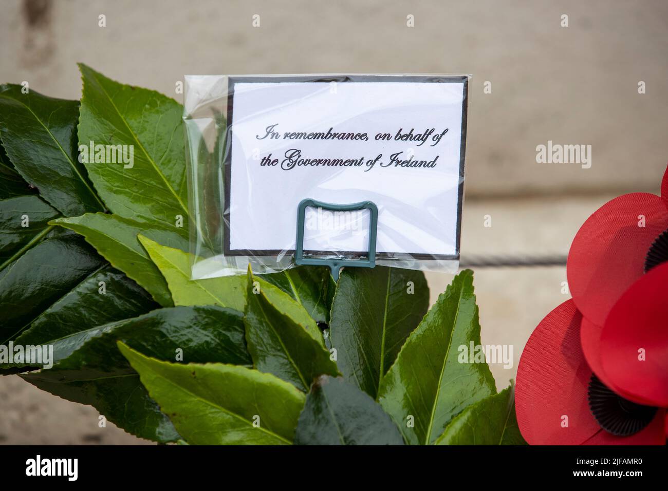 Botschaft auf dem Kranz, der von Fergus O'Dowd, dem Vertreter der irischen Regierung, im Cenotaph auf dem Donegall Square West in Belfast, zum Jahrestag des ersten Tages der Schlacht an der Somme im Jahr 1916 gelegt wurde. Bilddatum: Freitag, 1. Juli 2022. Stockfoto