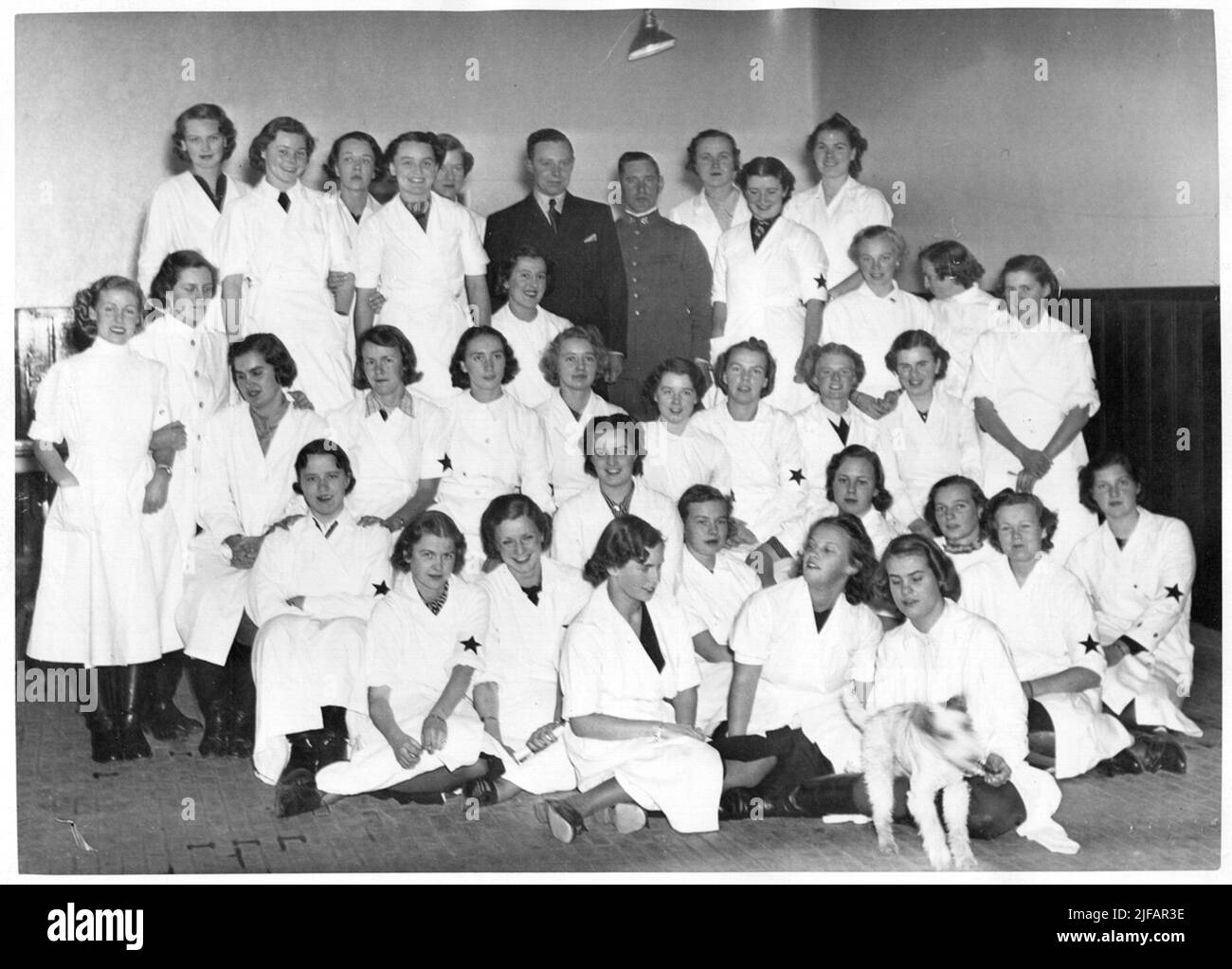 Frauen in weißen Mänteln auf einem Gesundheitskurs für Pferde am Veterinary College im Herbstsemester 1939. Frauen in weißen Mänteln auf einem Gesundheitskurs für Pferde am Veterinary College im Herbstsemester 1939. Das Bild ist in der Bildsuite des Armeemuseums mit den Operationen des schwedischen Roten Sterns und des schwedischen Blauen Sterns enthalten. Bereits Ende 1914 hatte sich in der Schweiz ein internationaler Verbandsbund zur Unterstützung der Tiere auf den Schlachtfeldern gebildet, der als L Etoile Rouge-Red Star bezeichnet wurde. In Schweden lud der Ausschuss für die Vorbereitung von Frauen im Jahr 1917 Vertreter interessierter Autorinnen ein Stockfoto