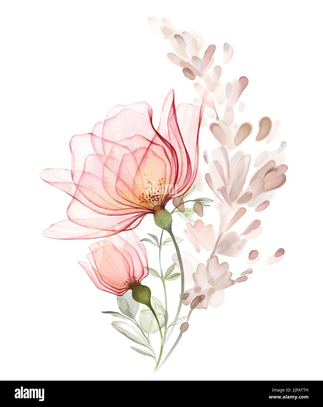 Aquarell Rosenstrauß. Große transparente Pfirsichblüten mit getrocknetem Pampagras. Pastellfarbene Komposition im modernen Boho-Stil. Handbemalte abstrakte Bilder Stockfoto