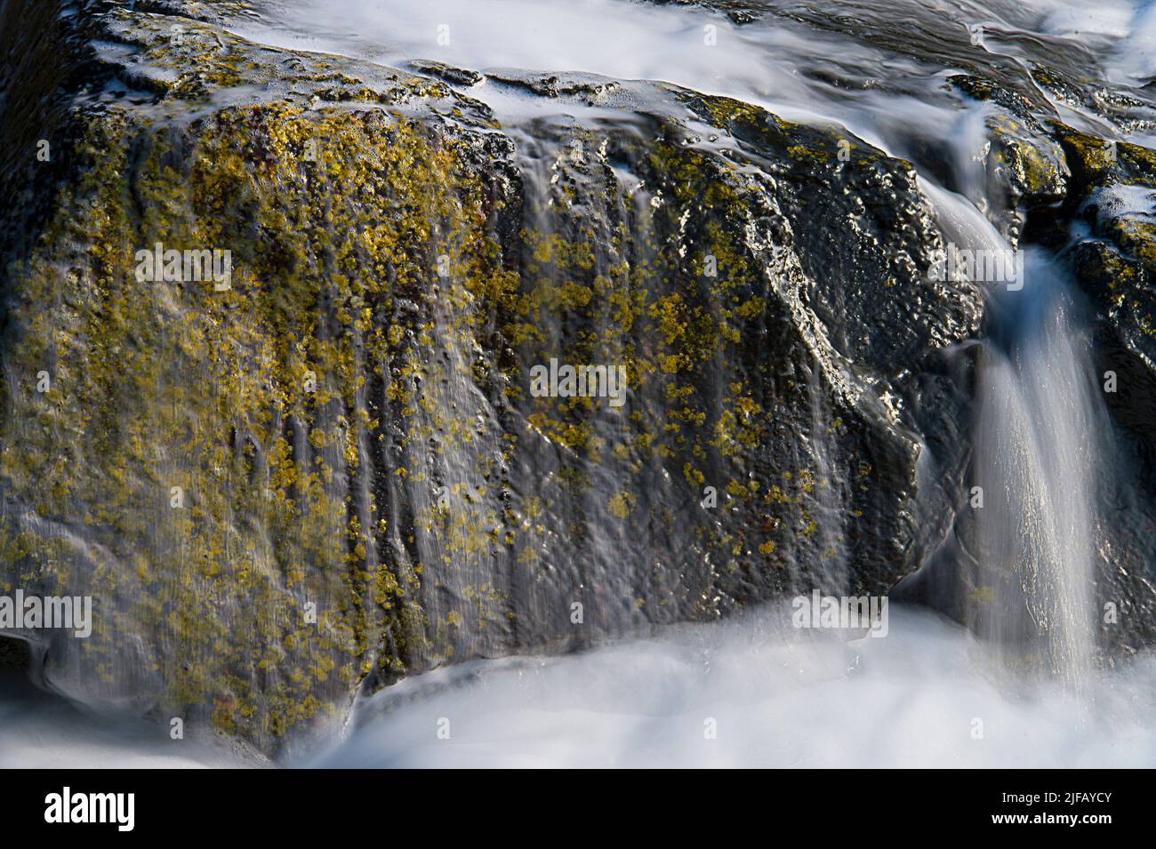 Wellen, die Flechten (Xanthoria sp.) treffen, wachsen in der Nähe des Ozeans im Südwesten Norwegens. Stockfoto