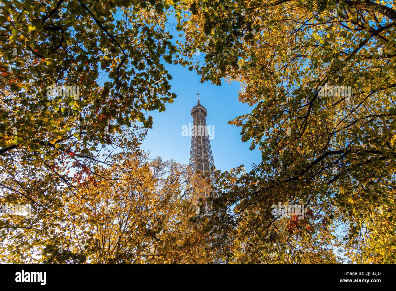 Frankreich, Paris, die Champs de Mars, der Eiffelturm im Herbst Stockfoto