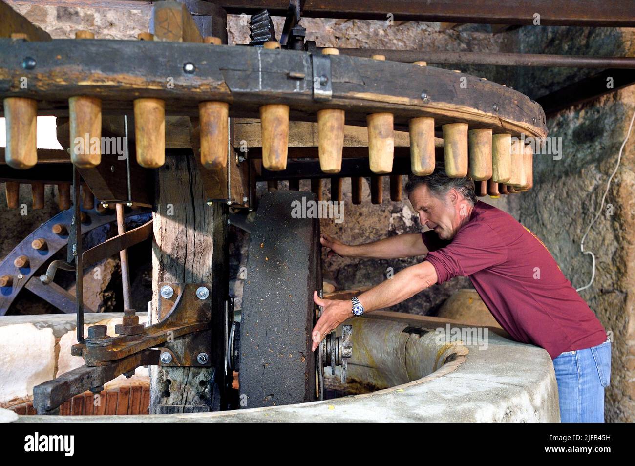 Frankreich, Var, die Dracenie, Dorf de Tourtour, beschriftet Les Plus Beaux Villages de France (die schönsten Dörfer Frankreichs), die Meistermühle Jean-Marc Simon vor der städtischen Olivenmühle Stockfoto