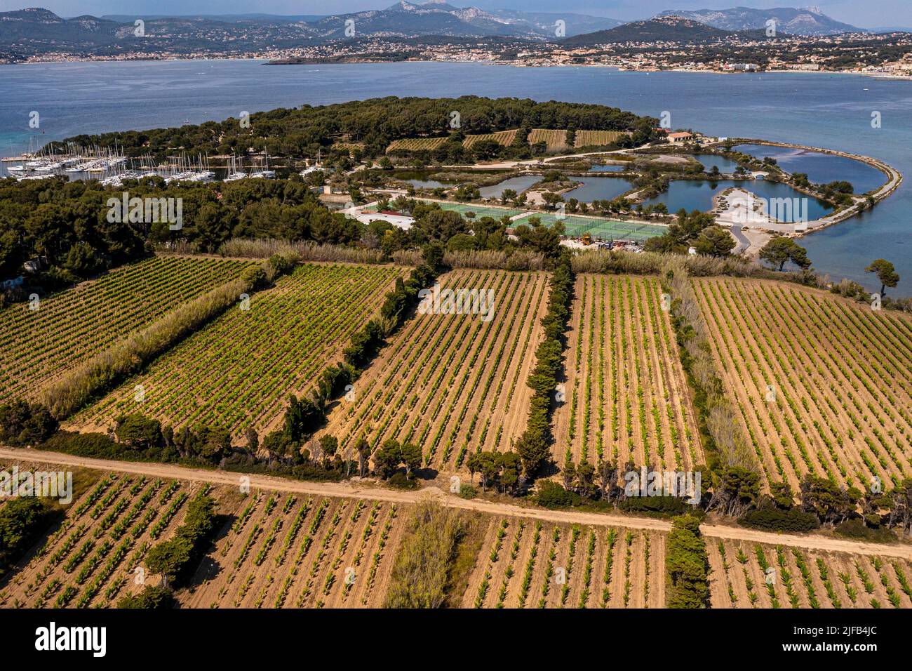 Frankreich, Var, Six Fours les Plages, Ile des Embiez, Weinberg im Vordergrund und die alten Salzwiesen (Luftaufnahme) Stockfoto