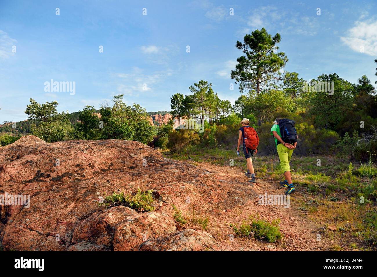 Frankreich, Var, zwischen Bagnols en Foret und Roquebrune sur Argens, Wanderung in den Gorges du Blavet Stockfoto