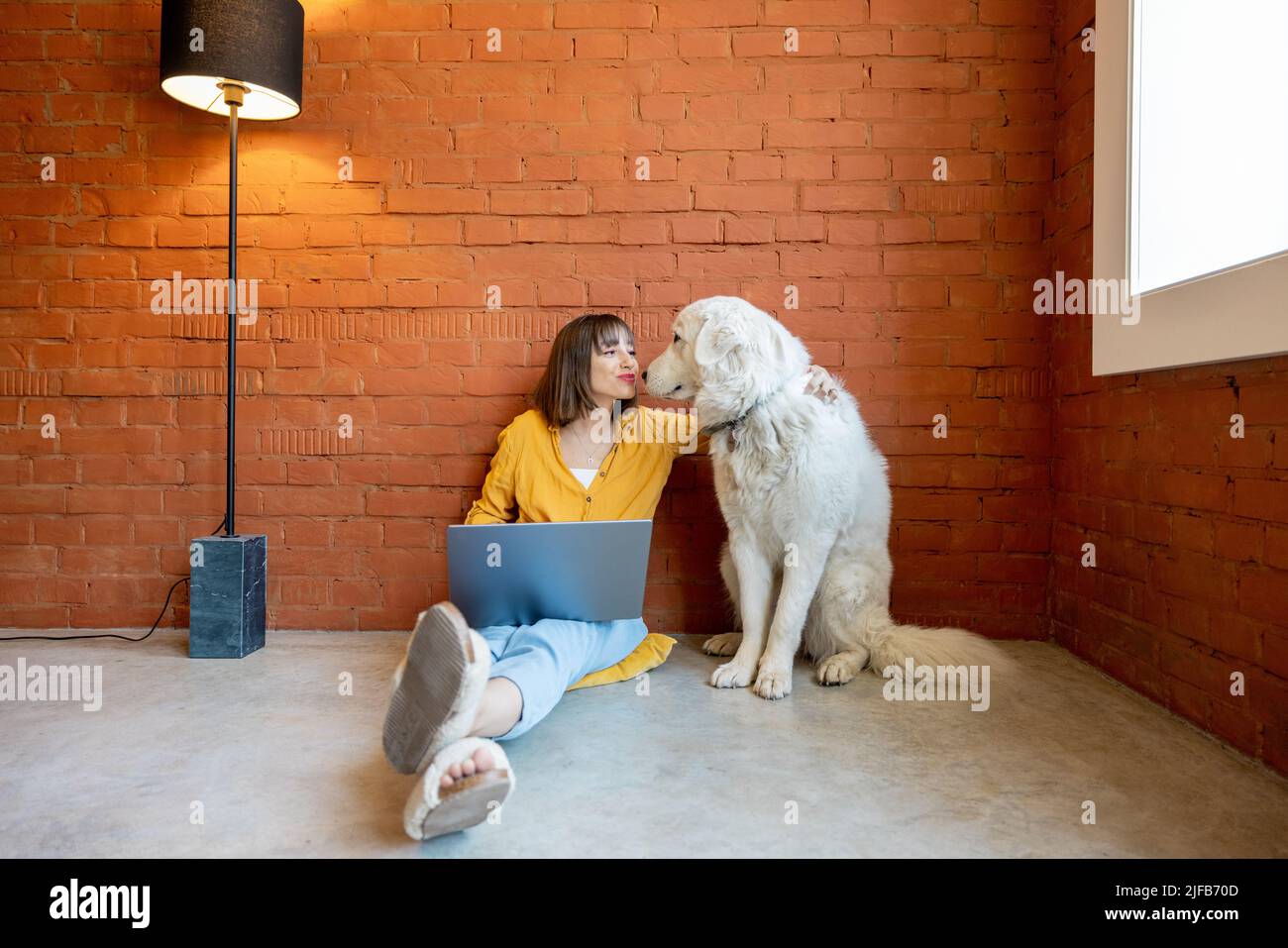 Frau, die am Laptop arbeitet, während sie mit ihrem Hund zu Hause sitzt Stockfoto