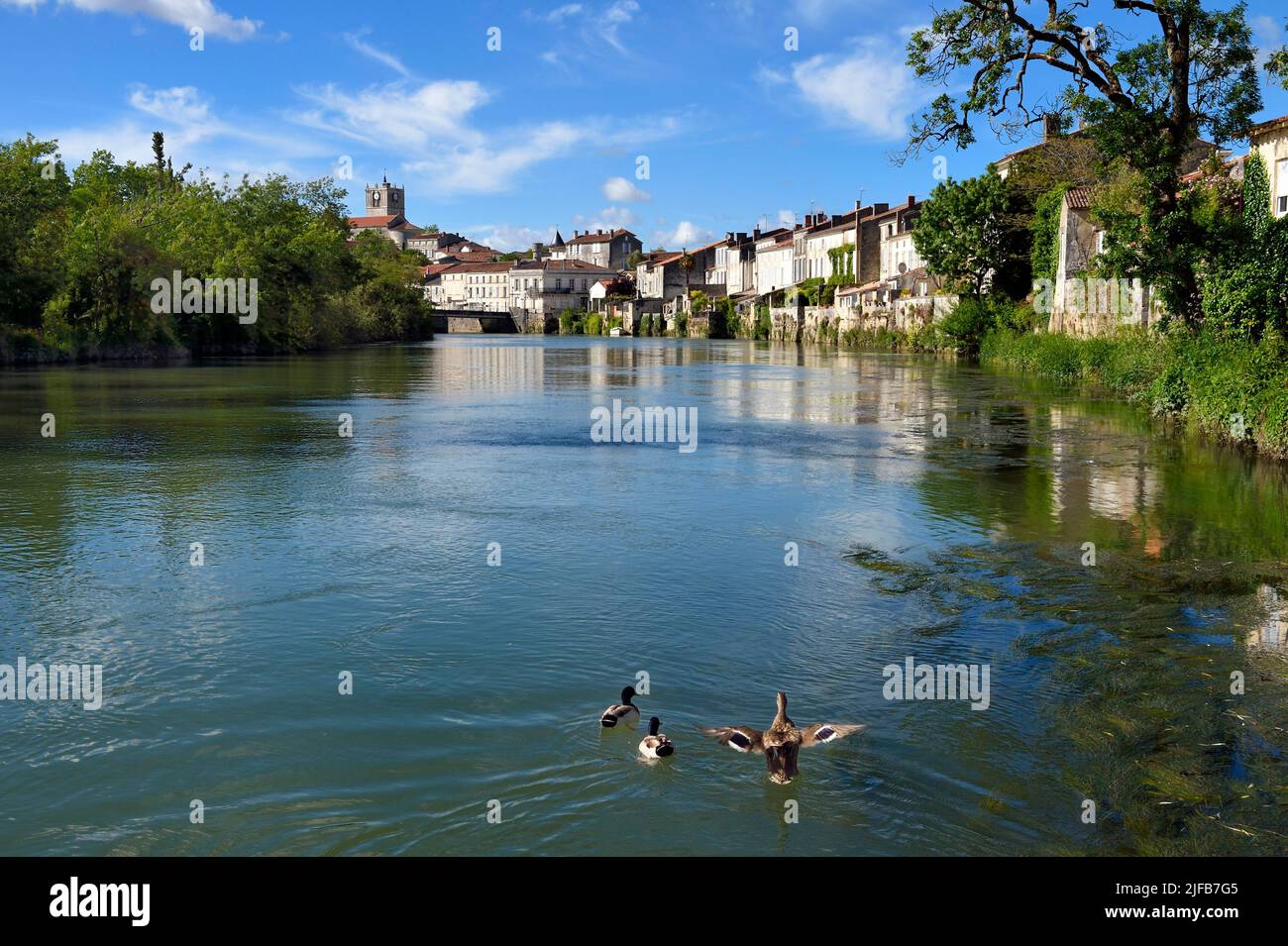 Frankreich, Charente-Maritime, Saintonge, Saint Savinien, markierte Steine und Wasserdörfer, Häuser am Ufer des Flusses Charente Stockfoto