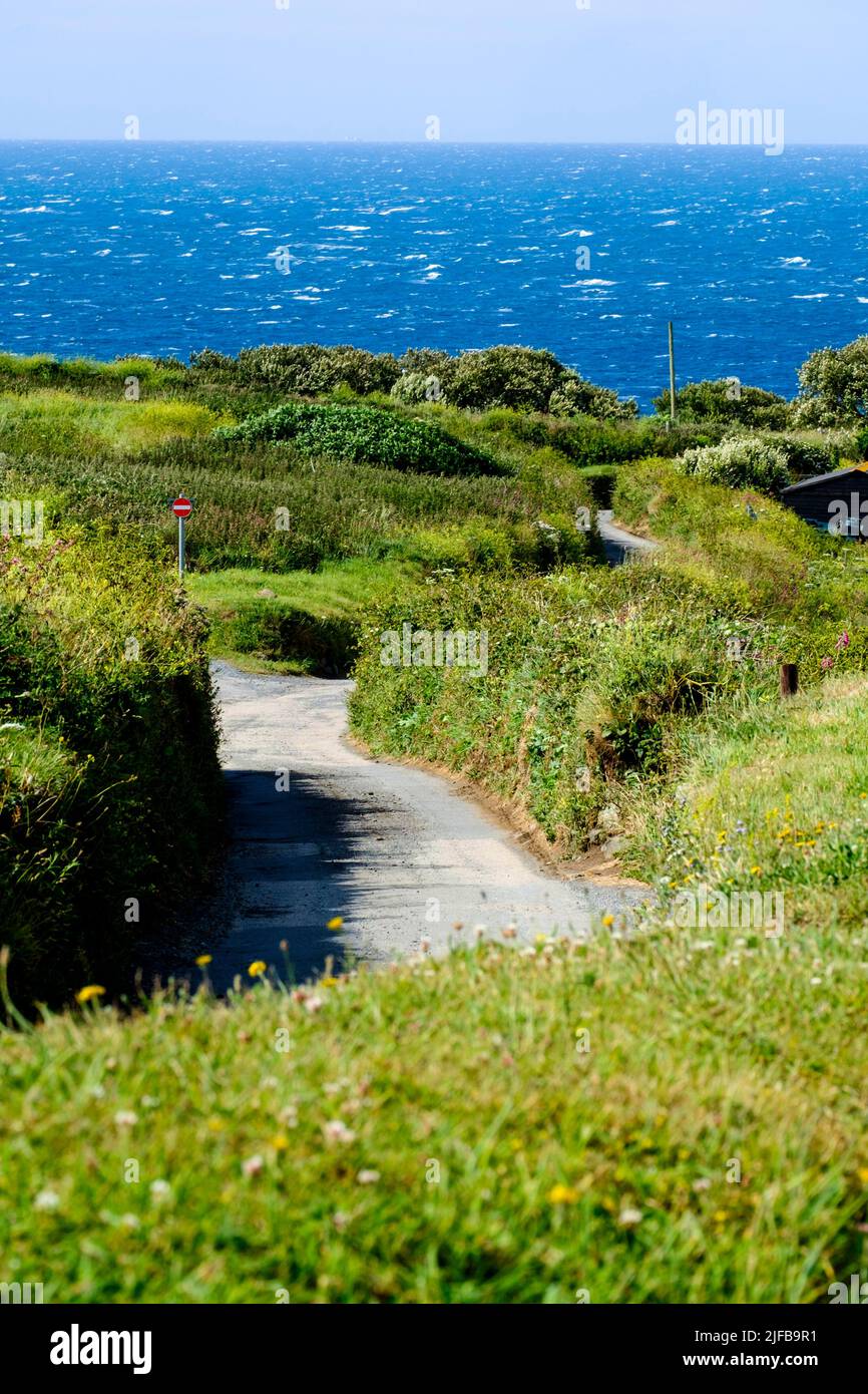 Enge cornish Lane auf dem Weg zum südlichsten Punkt. Lizard Point. Liizard Peninsula Cornwall Großbritannien Stockfoto