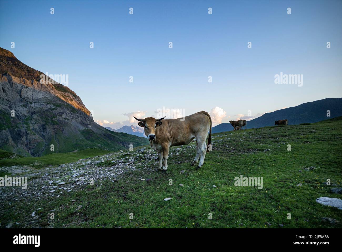 Frankreich, Hautes Pyrenäen, Nationalpark der Pyrenäen, Luz Saint