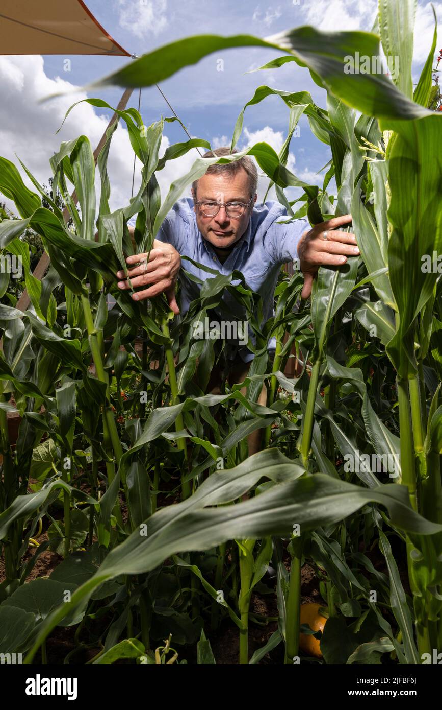 Hugh fearnley whitingstall Fotos und Bildmaterial in hoher Auflösung