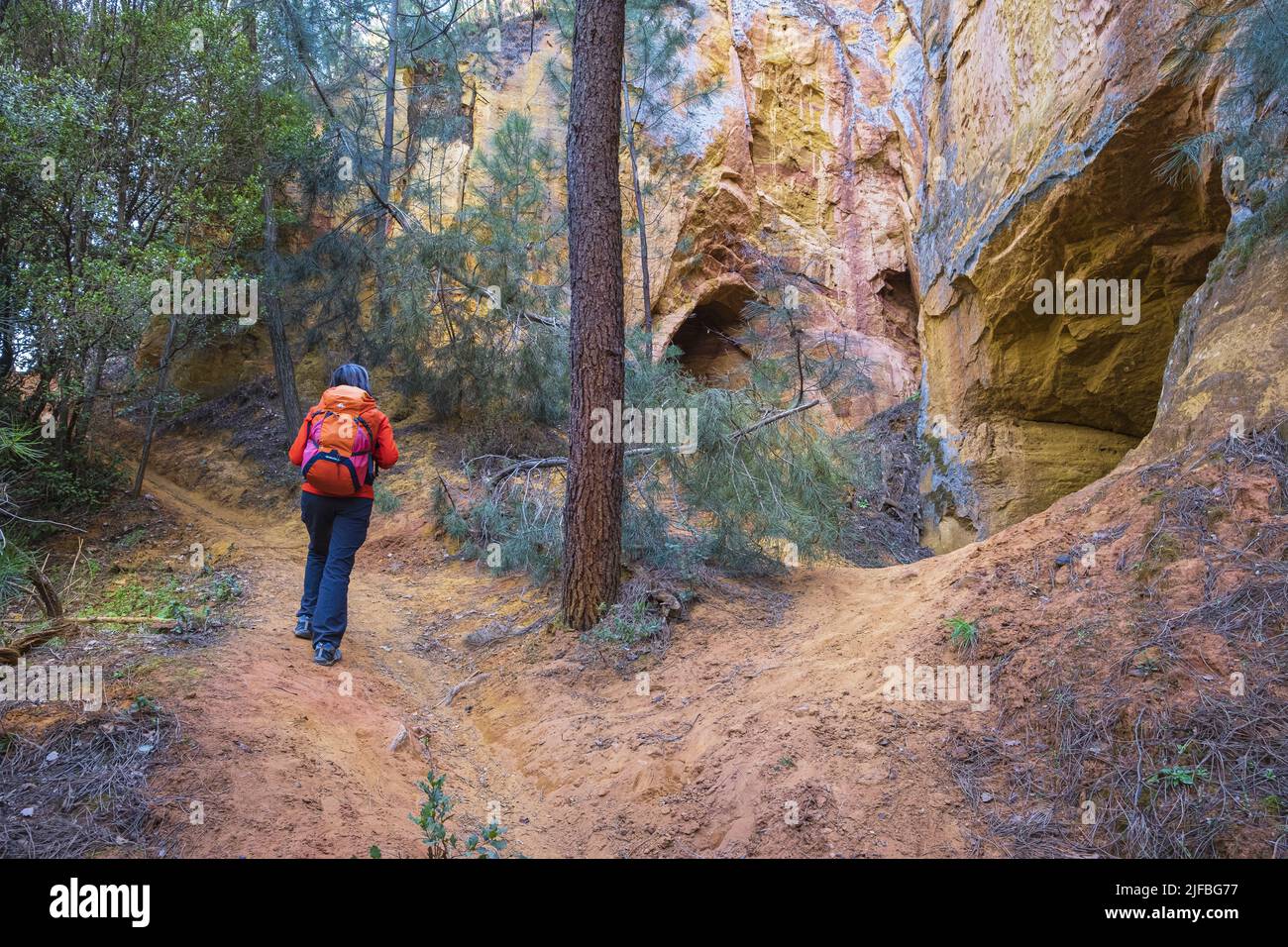 Frankreich, Vaucluse, regionaler Naturpark Luberon, Gargas, Wanderung in einem ehemaligen Ockersteinbruch Stockfoto