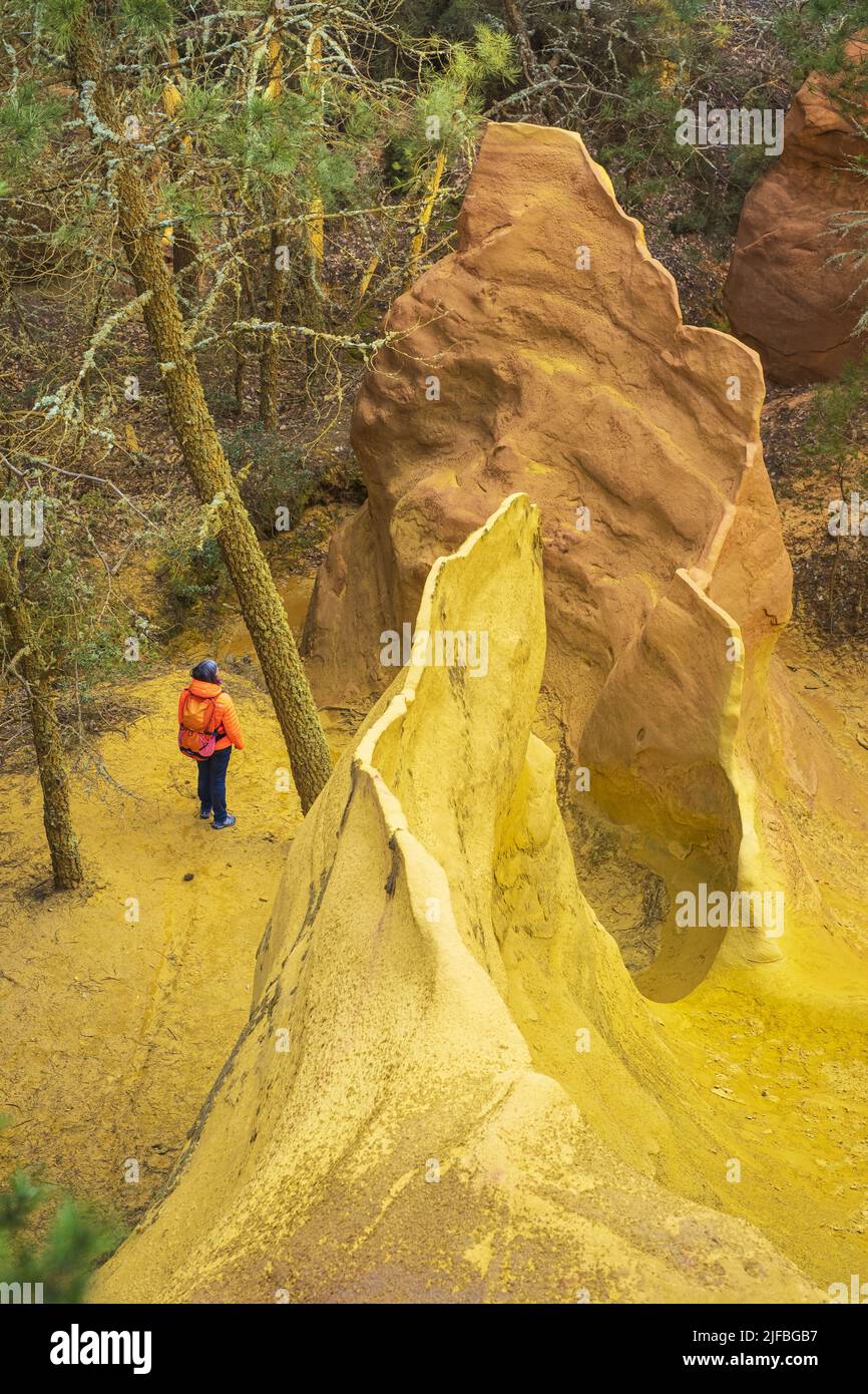 Frankreich, Vaucluse, regionaler Naturpark Luberon, Umgebung von Villars, Wanderung in den Ocker Stockfoto