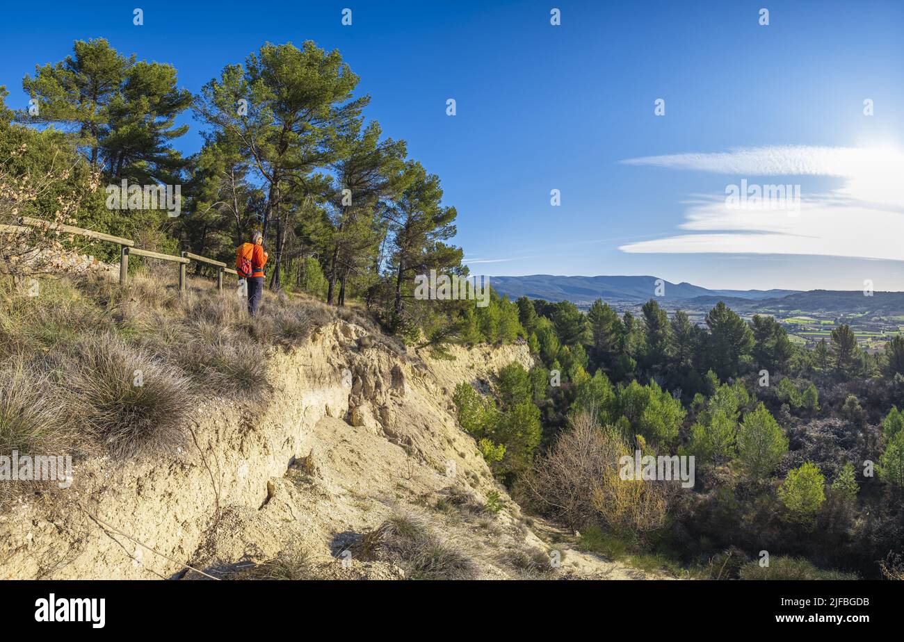 Frankreich, Vaucluse, regionaler Naturpark Luberon, Gargas, Wanderung auf dem Perreal-Hügel entlang der Wanderwege GR 6 und GR 97 Stockfoto