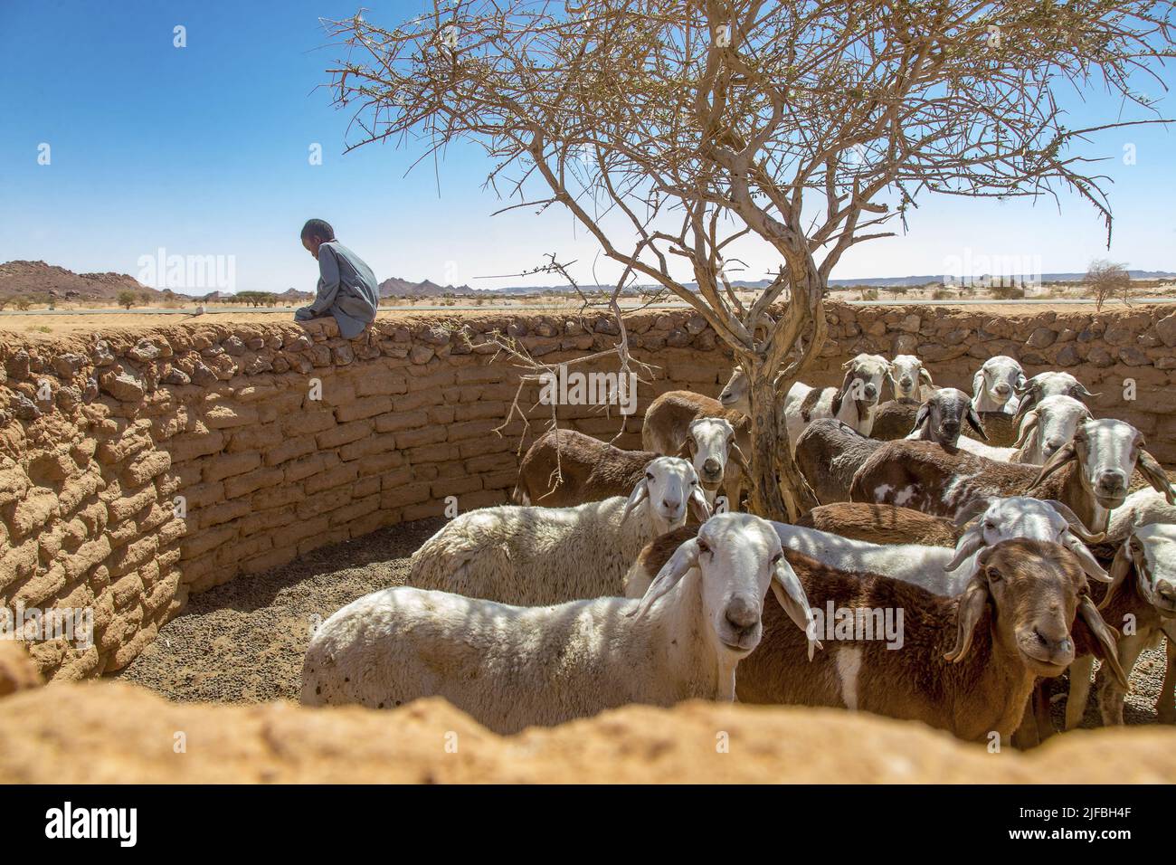 Chad, Ennedi, Wadi Hawar, Amdjarass, Heimatdorf von Idriss Deby Stockfoto