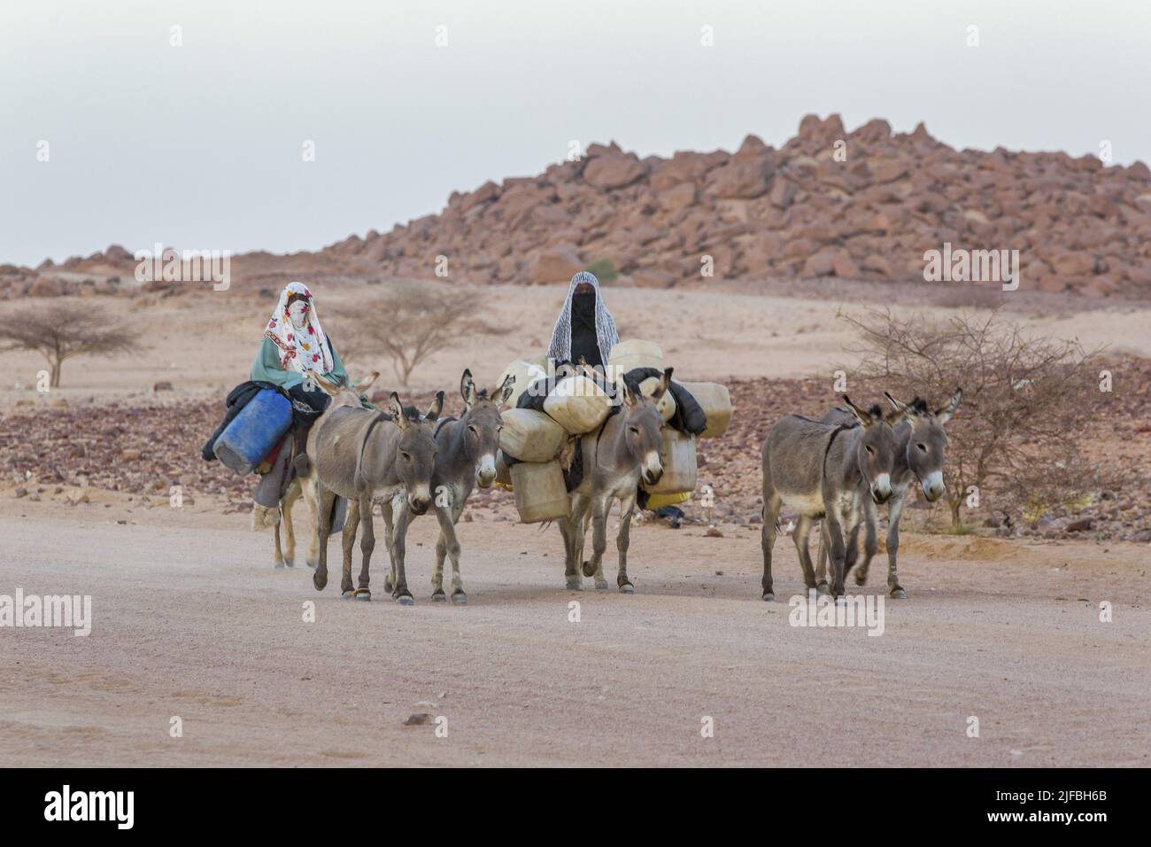 Chad, Ennedi, Wadi Hawar, Amdjarass, Heimatdorf von Idriss Deby, Frauen, die zum Brunnen gehen Stockfoto