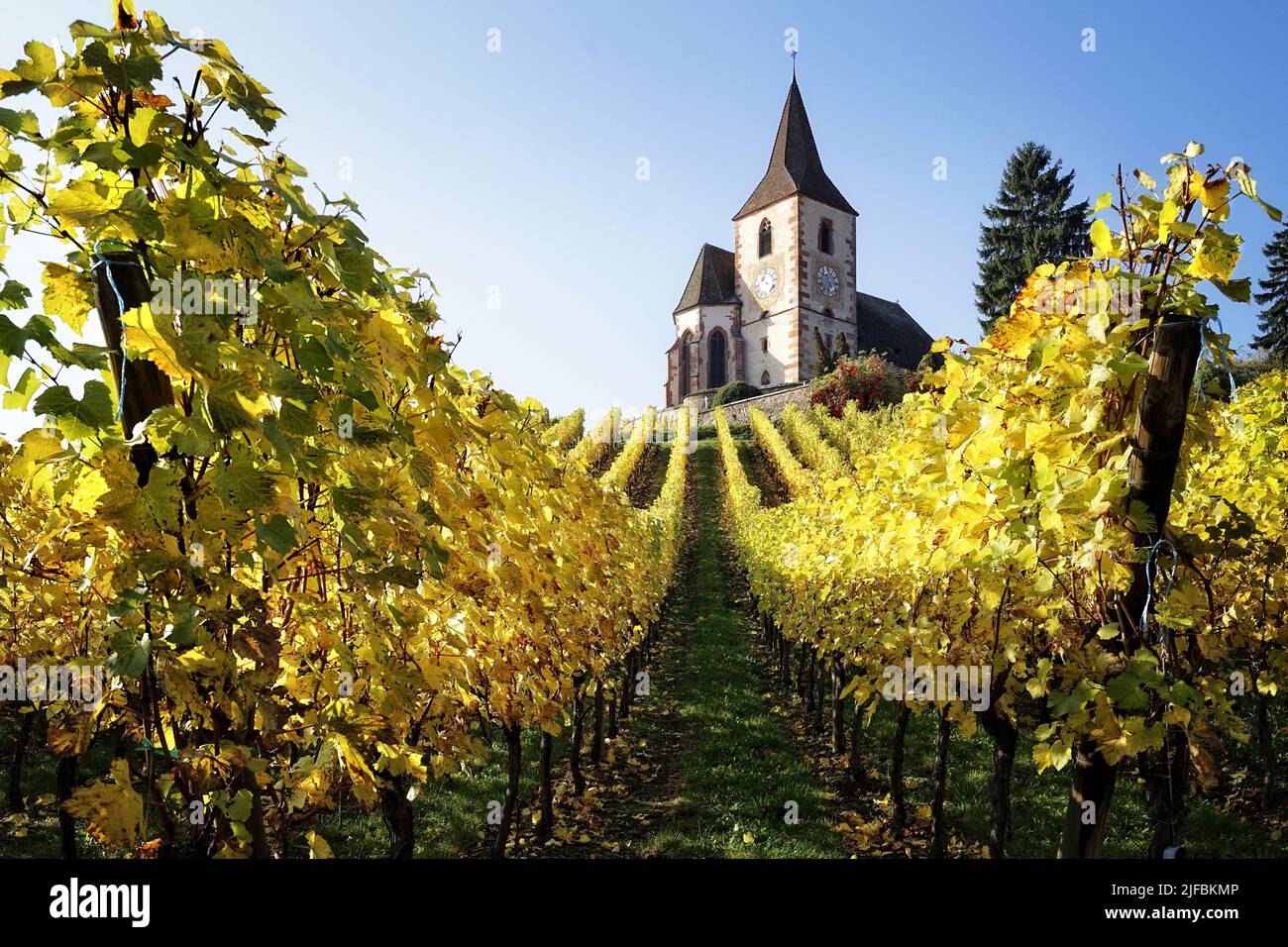 Frankreich, Haut Rhin, der elsässischen Weinstraße, Hunawihr