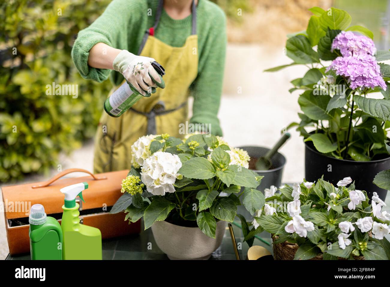 Junge Frau, die sich im Garten um Blumen kümmert Stockfoto