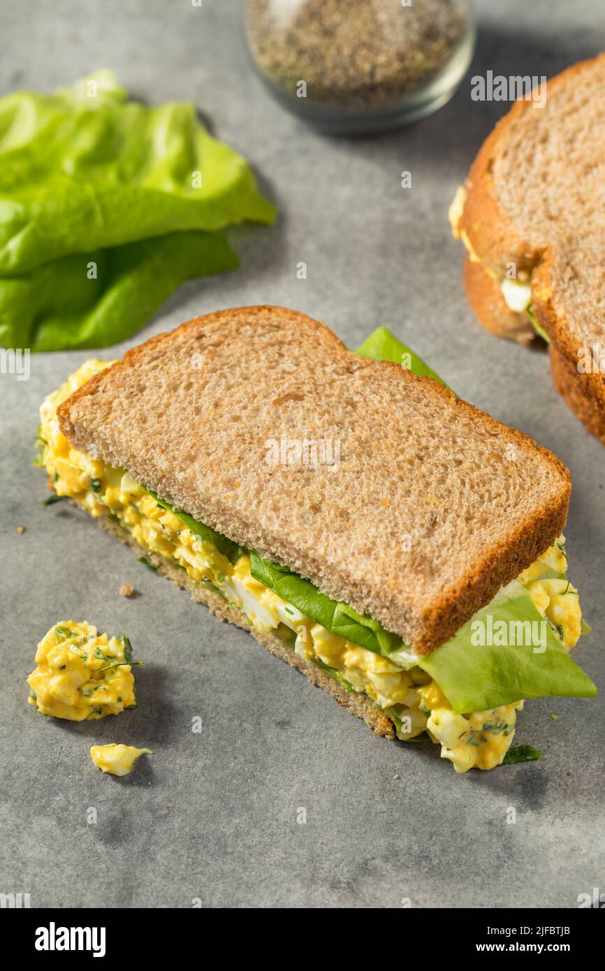 Gesundes hausgemachtes Eiersalat-Sandwich mit Salat Stockfoto