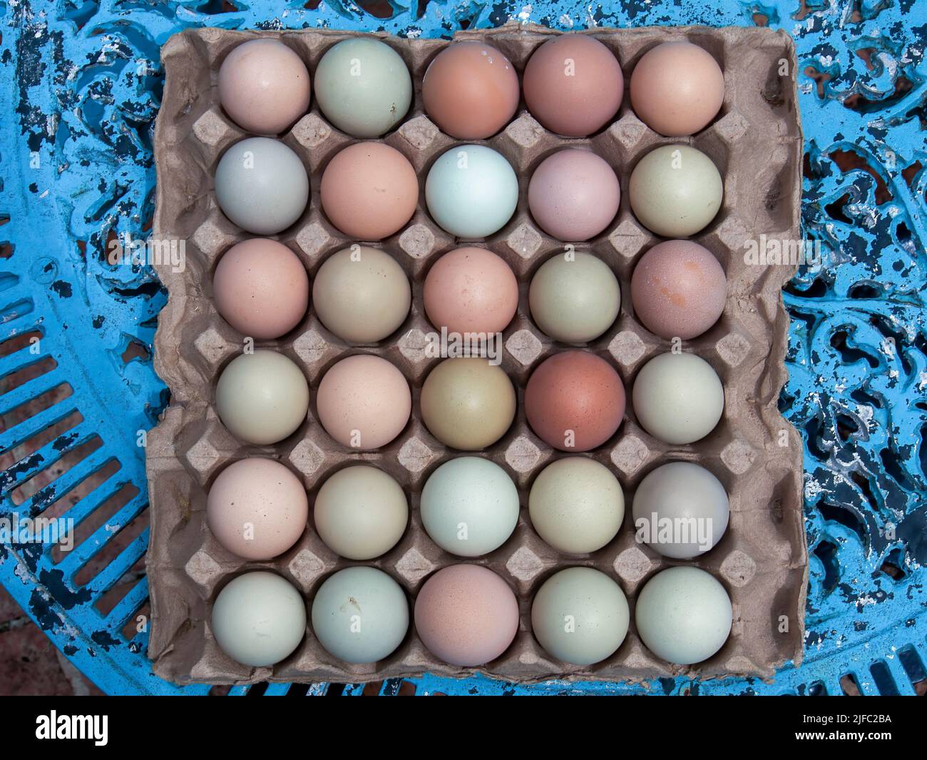 Nahaufnahme einiger farblich gemischter Freilandeier auf einem Karton-Tablett über einem blau-metallischen Gartentisch. Stockfoto