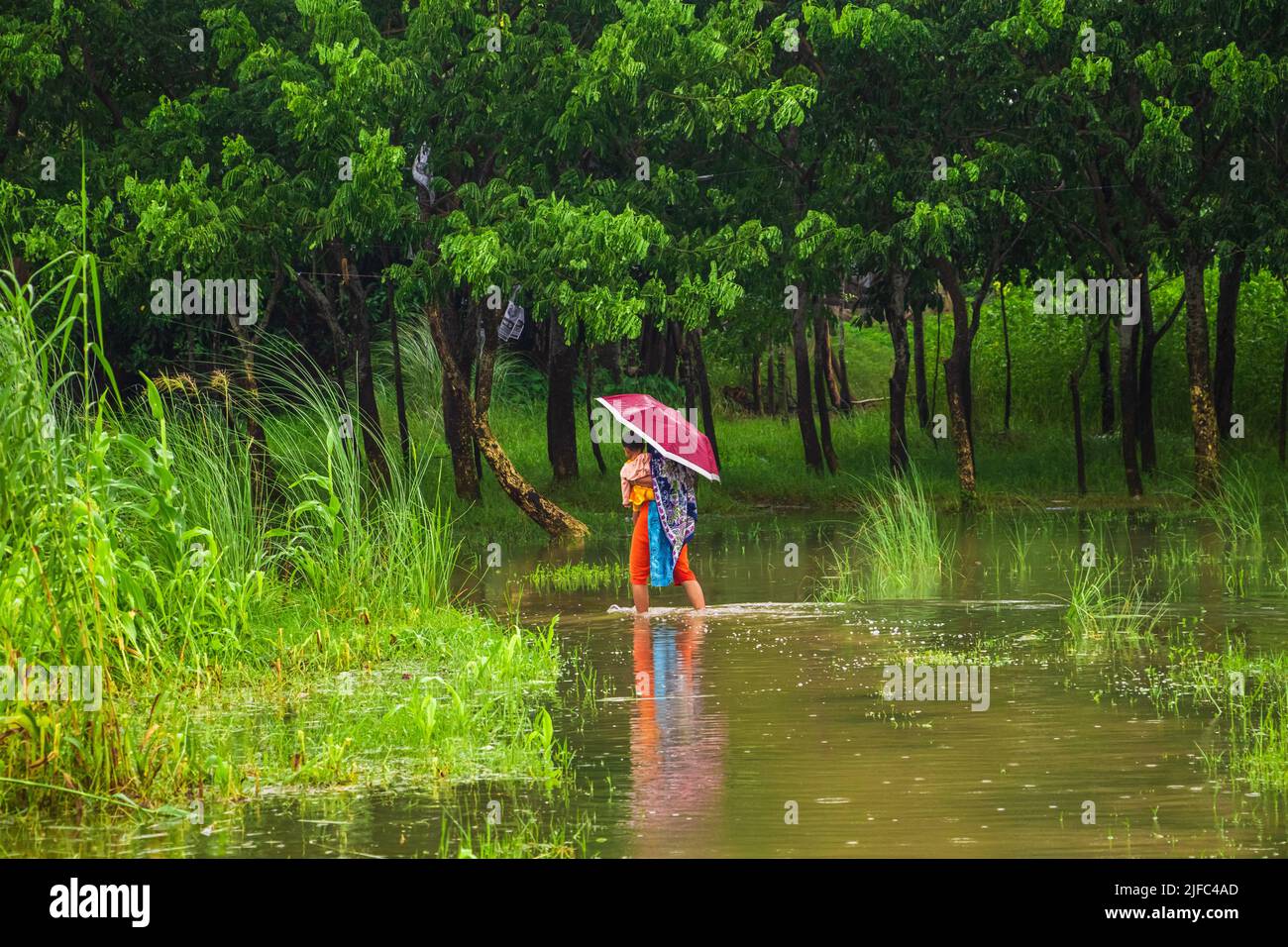 Das Hochwasser wird das Inselgebiet des Zajira-Flussufers beeinträchtigen. Dieses Bild wurde am 2022-06-18 aus Zajira, Bangladesch, Südasien, aufgenommen Stockfoto