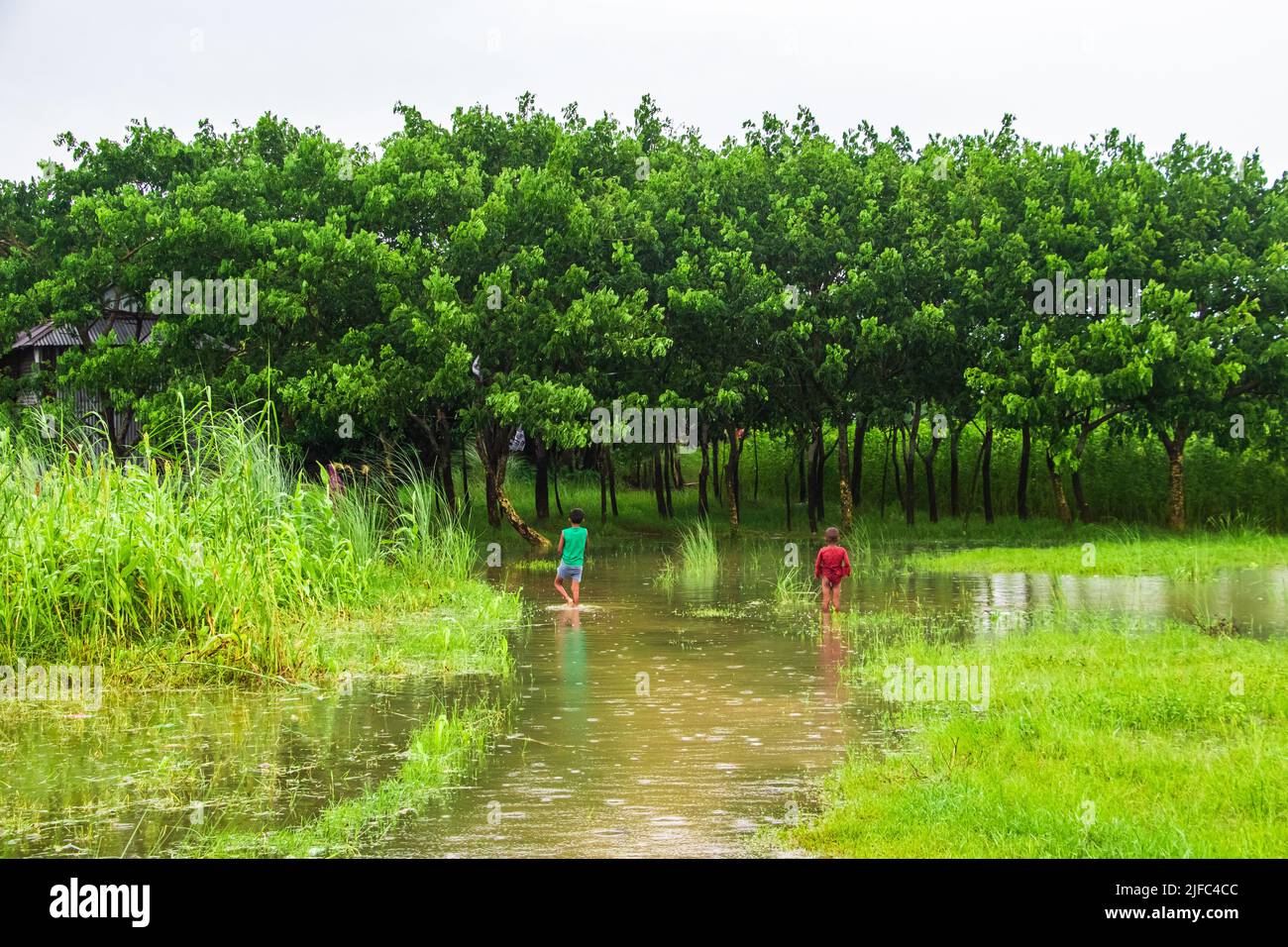 Das Hochwasser wird das Inselgebiet des Zajira-Flussufers beeinträchtigen. Dieses Bild wurde am 2022-06-18 aus Zajira, Bangladesch, Südasien, aufgenommen Stockfoto