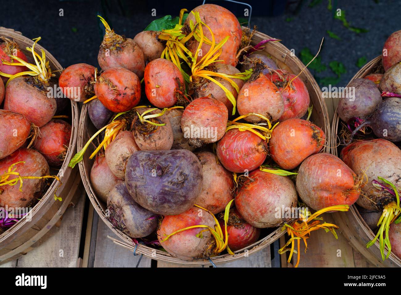 Körbe mit frischen lila und orangefarbenen Rüben auf einem Bauernmarkt Stockfoto