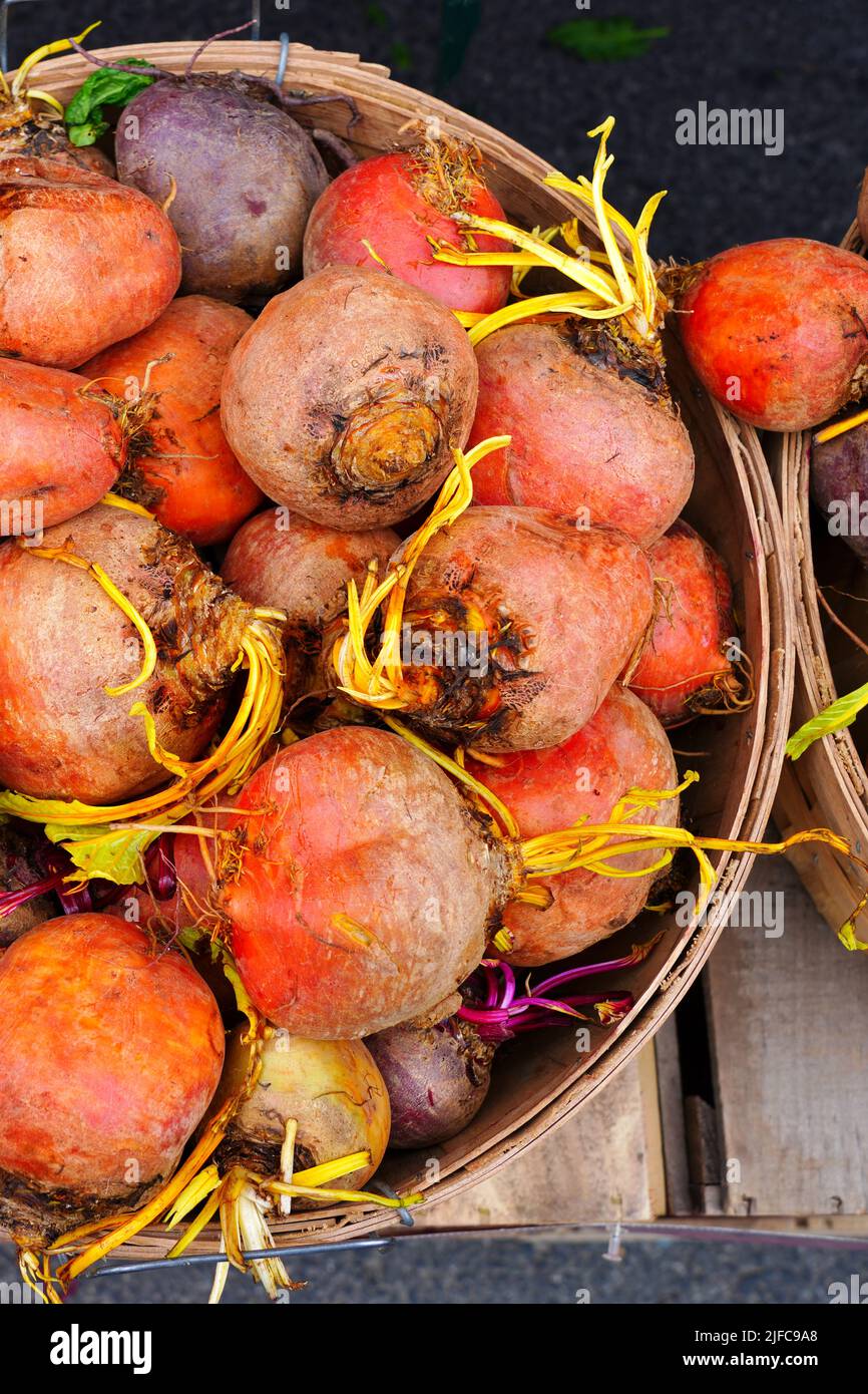 Körbe mit frischen lila und orangefarbenen Rüben auf einem Bauernmarkt Stockfoto