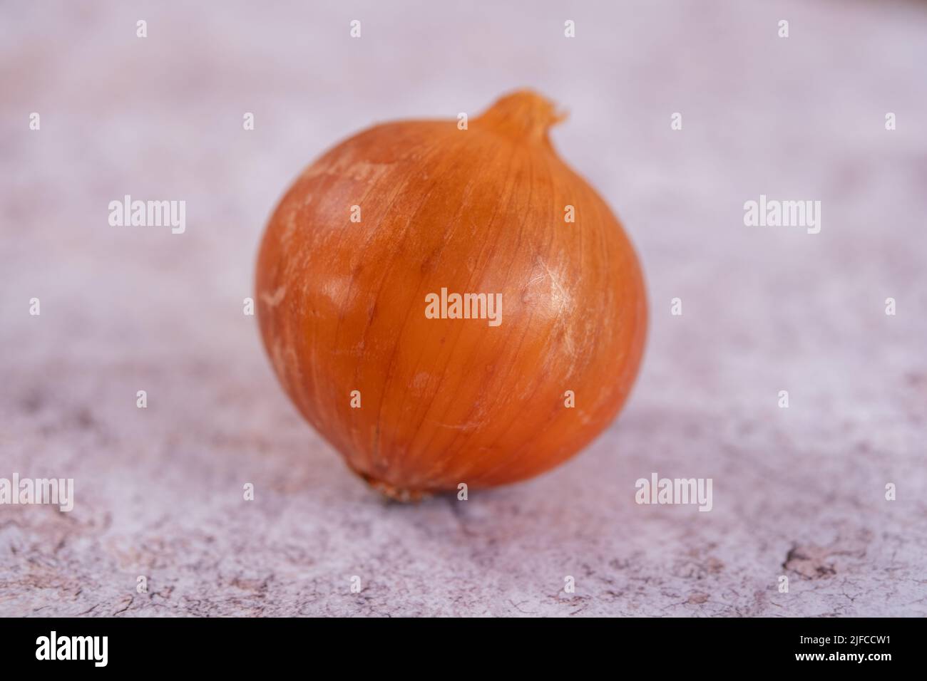 Eine ganze weiße Zwiebel mit Haut auf, vor einem weißen Steinboden Hintergrund. Stockfoto