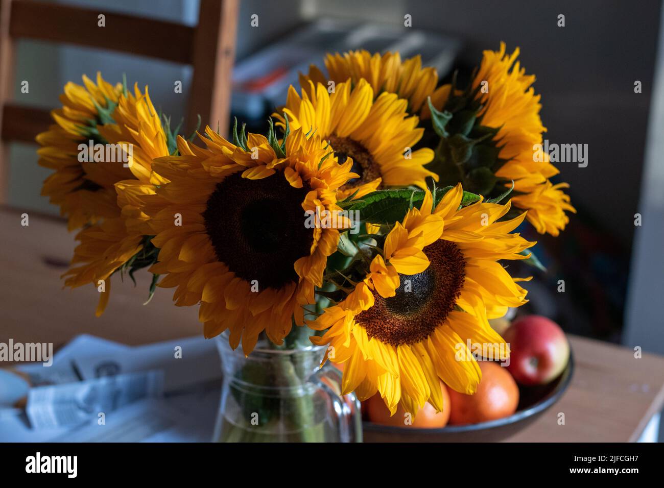 Ein Strauß gelber Sonnenblumen blüht bei Sonnenuntergang in einer Vase Stockfoto