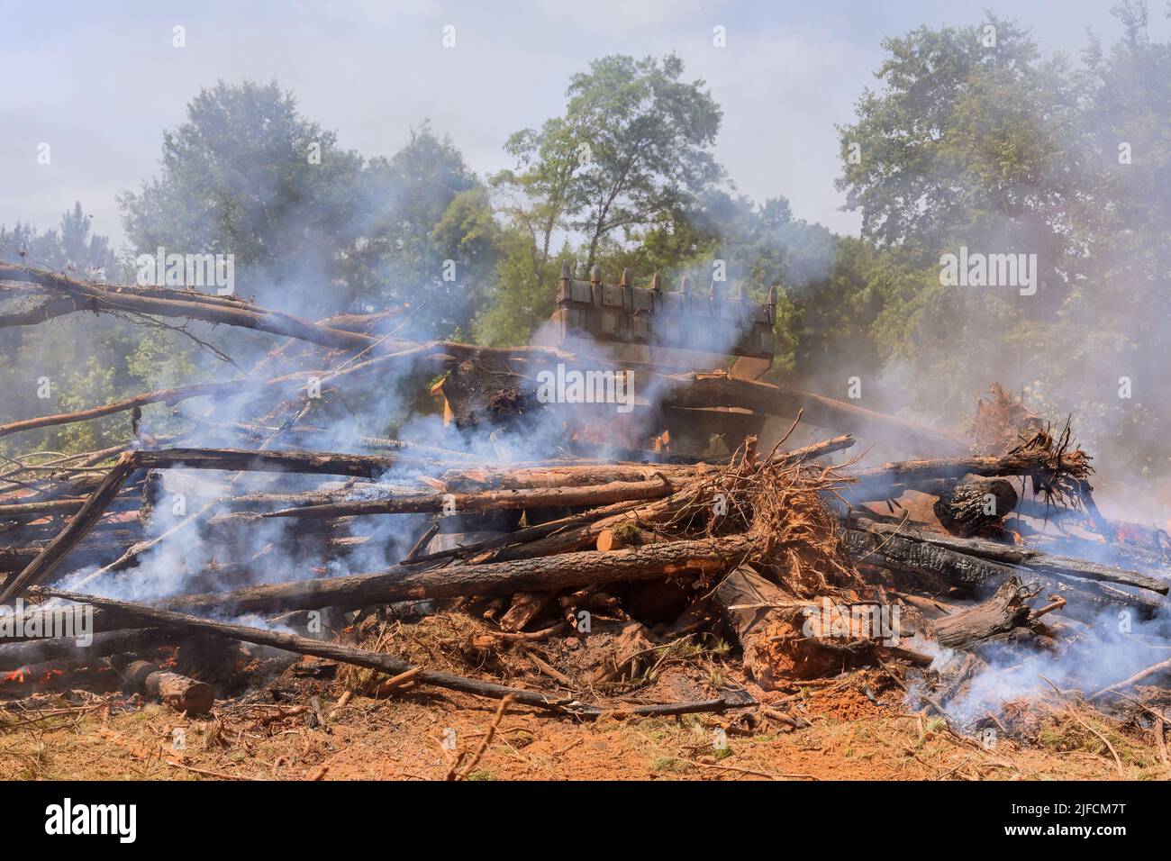Der Prozess der Landvorbereitung für den Bau einer Waldbrände, die entwurzelt wurde Stockfoto