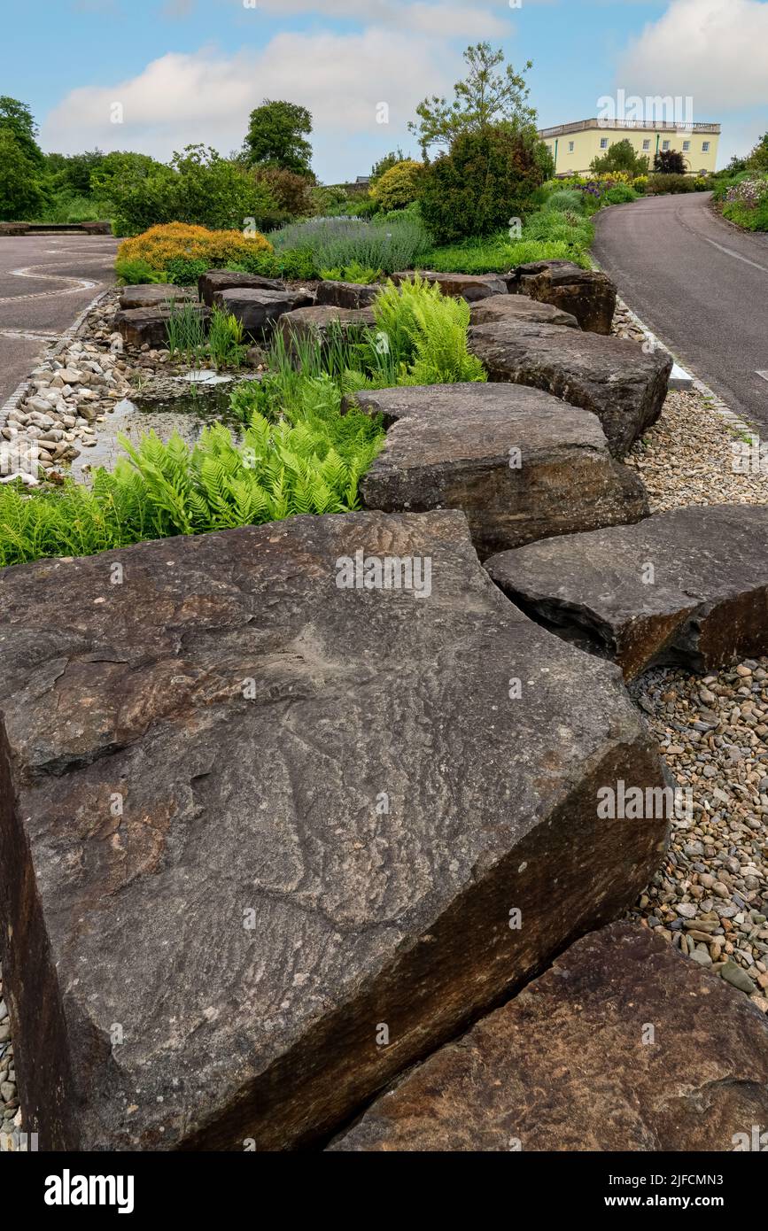 Nahaufnahme von großen walisischen Granitblöcken, die als architektonische Feraturen in einem botanischen Garten verwendet werden Stockfoto