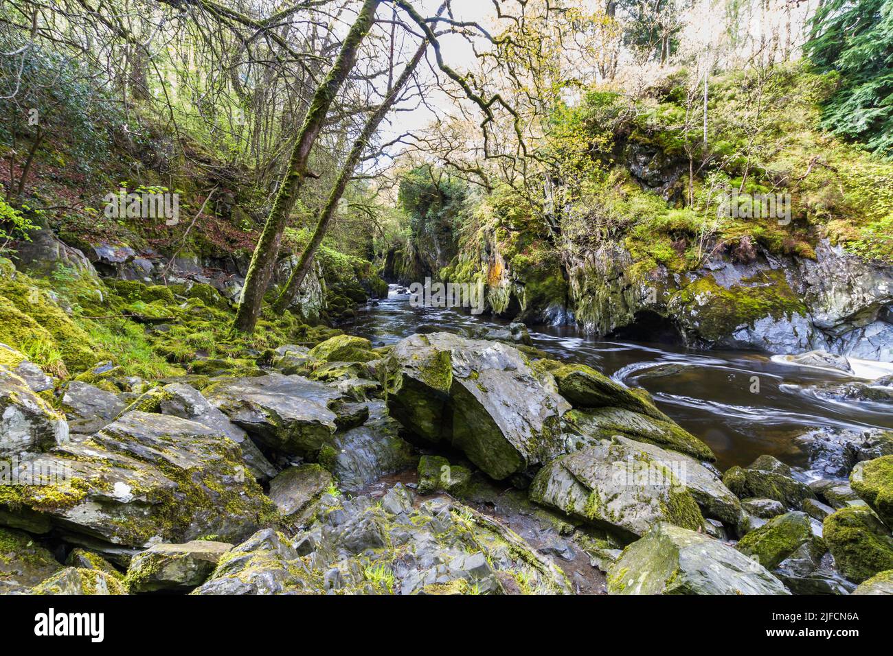Wunderschöne Schlucht mit Fluss The Fairy Glen, Betws-y-Coed, Snowdonia, Wales, Großbritannien, Weitwinkel Stockfoto