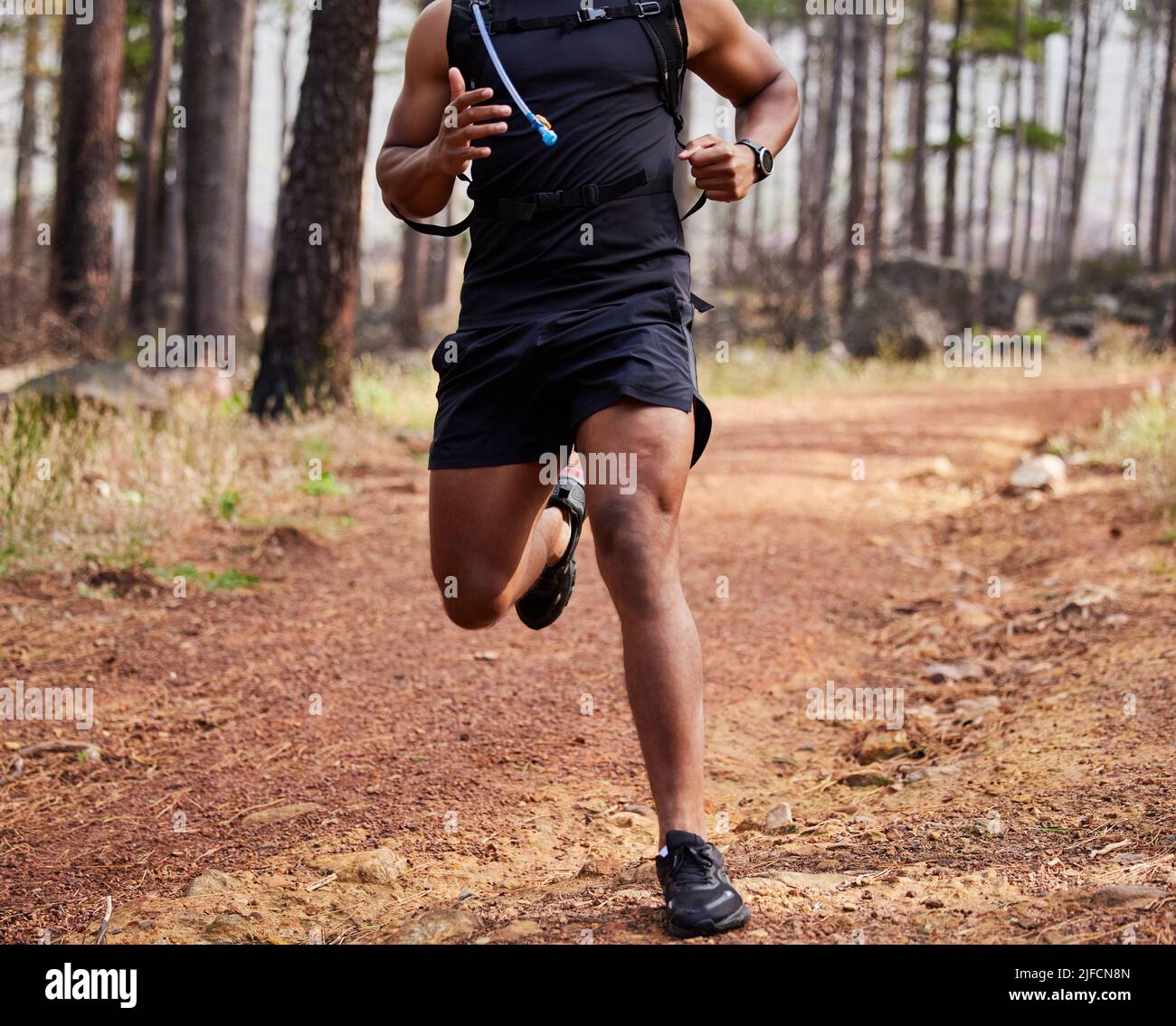 Hispanischer, nicht erkennbarer, fit-Athlet, der in einem Wald draußen in der Natur läuft. Bewegung ist gut für Gesundheit und Wohlbefinden. Joggen allein in einem Park Stockfoto