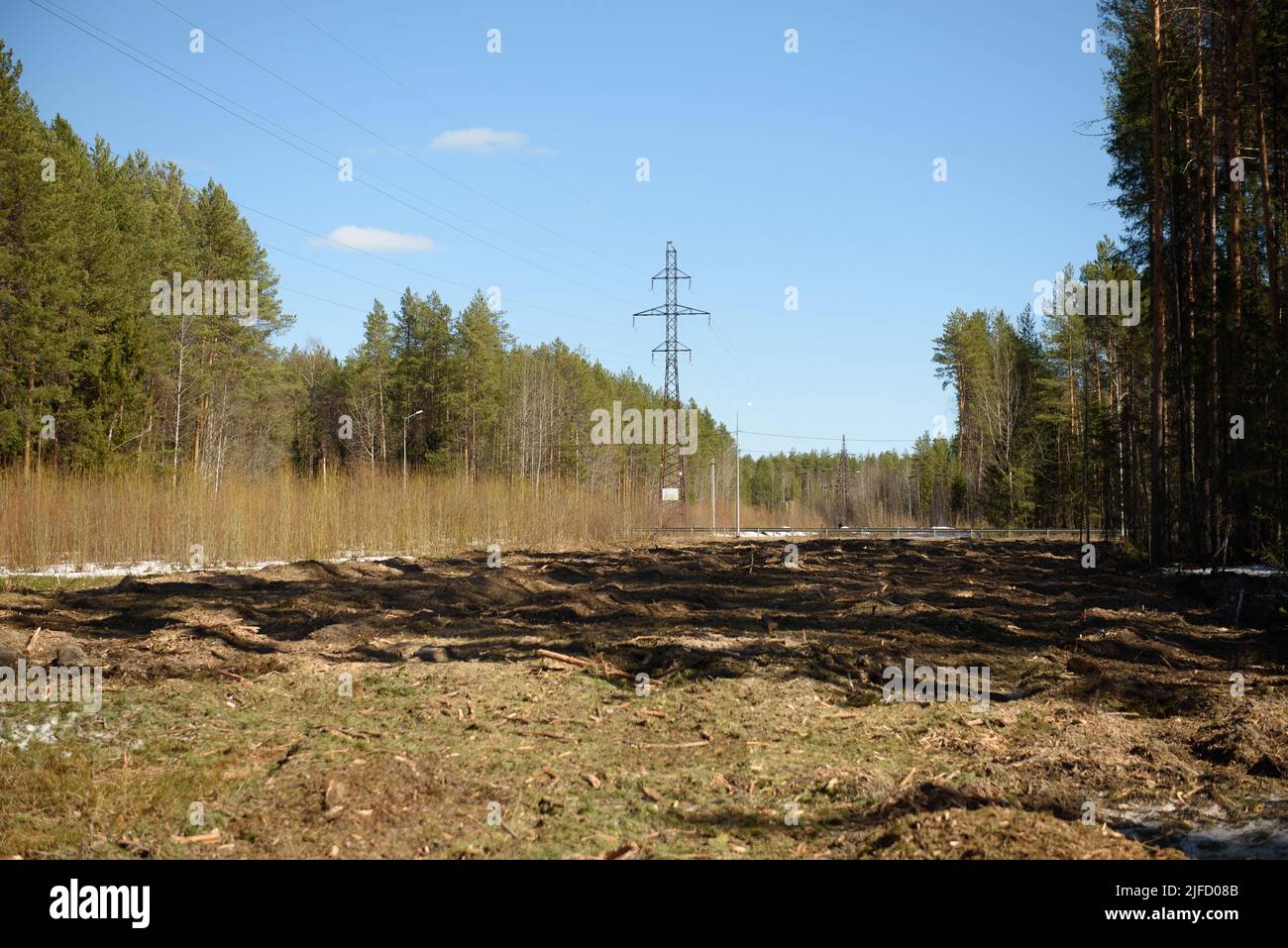 Der Ort der Entwaldung für die Gaspipeline Mitte Frühjahr Stockfoto
