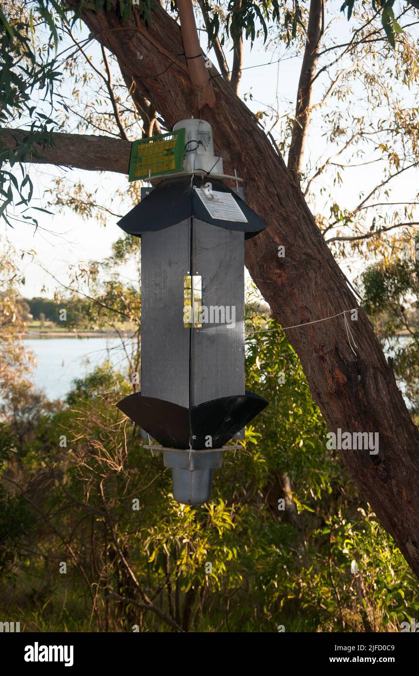 Vogelfutterhäuschen im Karkarook Park, einem 15 Hektar großen Stadtpark in Moorabbin, Melbourne, Victoria, Australien, der ein von Menschenhand geschapptes Feuchtgebiet umfasst Stockfoto