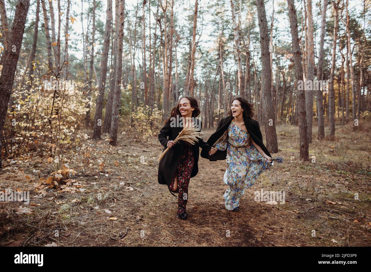 Zwei junge Frauen, die Spaß haben, mit Händen durch den Herbstwald zu laufen Stockfoto