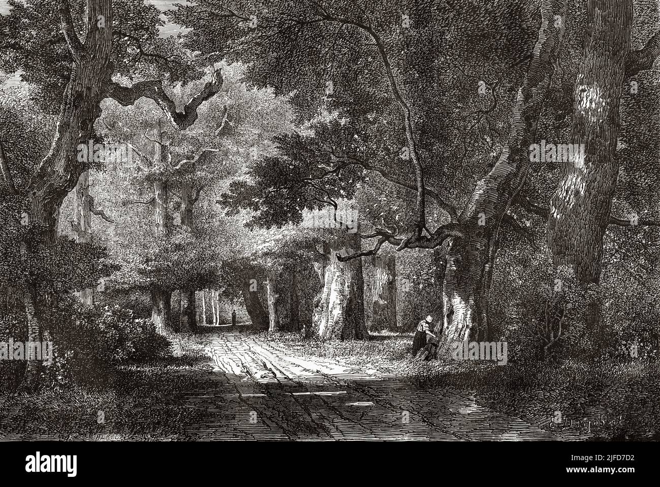 Gros-Fouteau, Fontainebleau Forest. Seine-Et-Marne, Frankreich. Europa. Schloss und Wald von Fontainebleau von Du Pays aus Le Tour du Monde 1867 Stockfoto