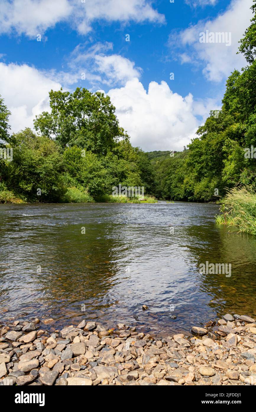 River Torridge: Sommerporträt Blick auf den Fluss in Richtung Rolle und Rothern Bridges in Reduced Flow, River Torridge, Great Torrington Stockfoto River Torridge: Sommerporträt Blick auf den Fluss in Richtung Rolle und Rothern Bridges in Reduced Flow, River Torridge, Great Torrington Stockfoto