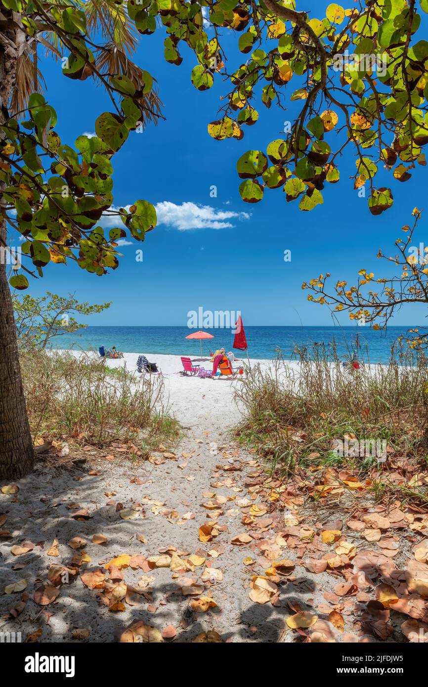 Sonniger tropischer Strand. Der Weg zum wunderschönen weißen Sandstrand in Naples Beach, Florida, USA Stockfoto