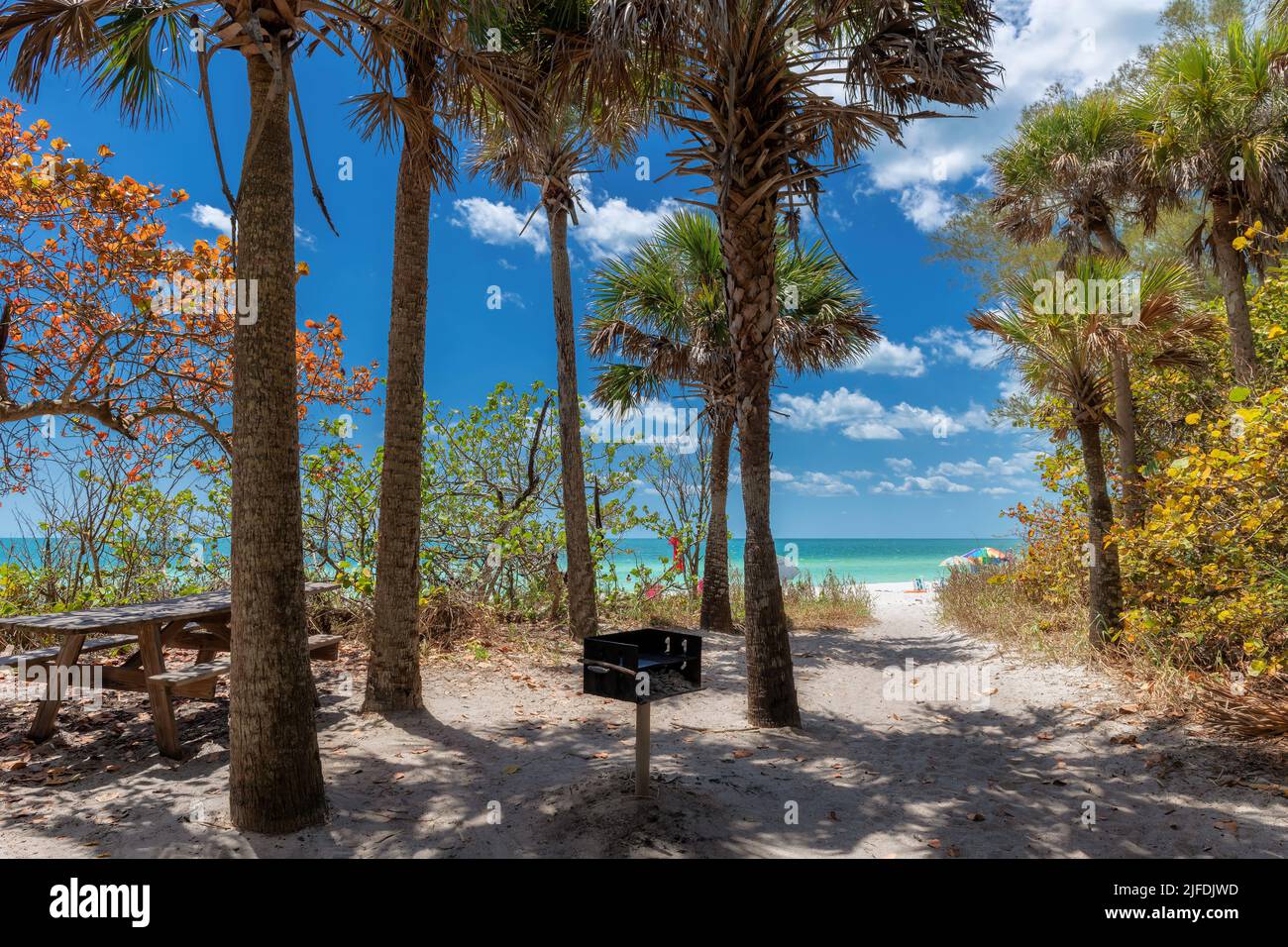 Pfad zum sonnigen weißen Sandstrand mit Palmen in Naples Beach, Florida Stockfoto
