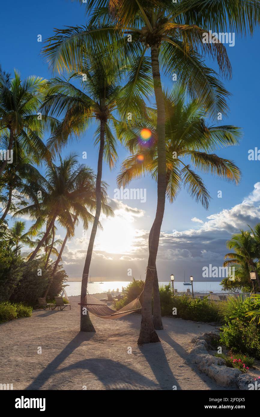 Sonnenuntergang an Palmen am wunderschönen tropischen Strand in Key Largo. Florida Stockfoto
