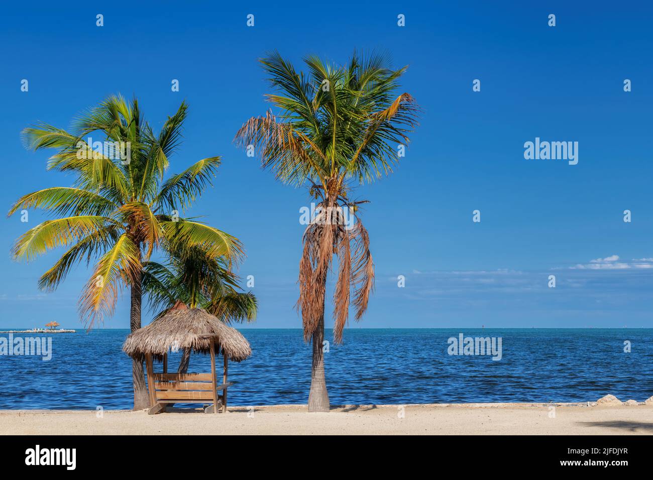 Palmen am wunderschönen Strand und Strohschirm auf der tropischen Insel in Florida Keys Stockfoto Palmen am wunderschönen Strand und Strohschirm auf der tropischen Insel in Florida Keys Stockfoto