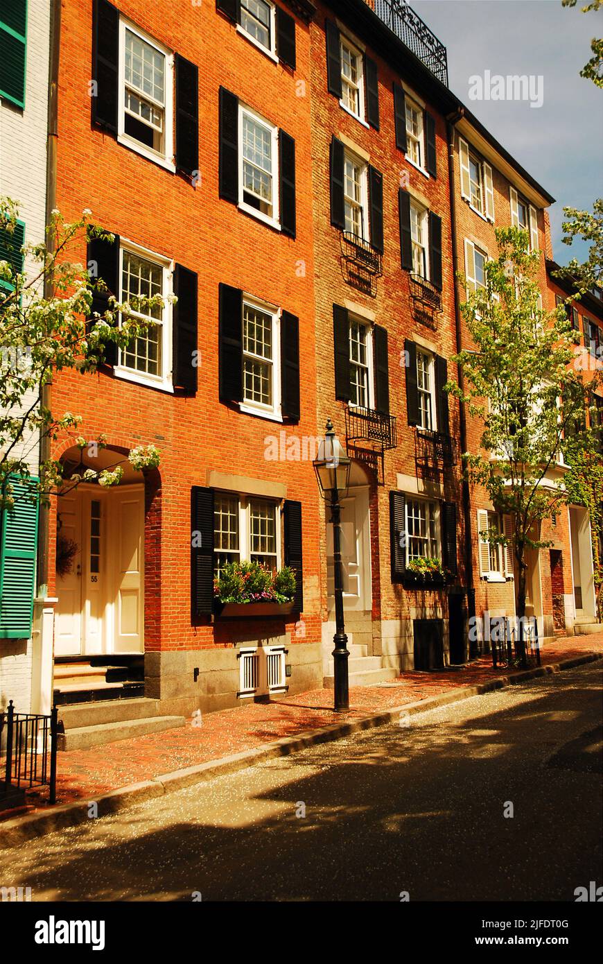 Stattliche Backsteinhäuser mit schwarzen Fensterläden im Federal-Stil, entworfen von Charles Bullfinch, sind im wohlhabenden Beacon Hill von Boston weit verbreitet Stockfoto