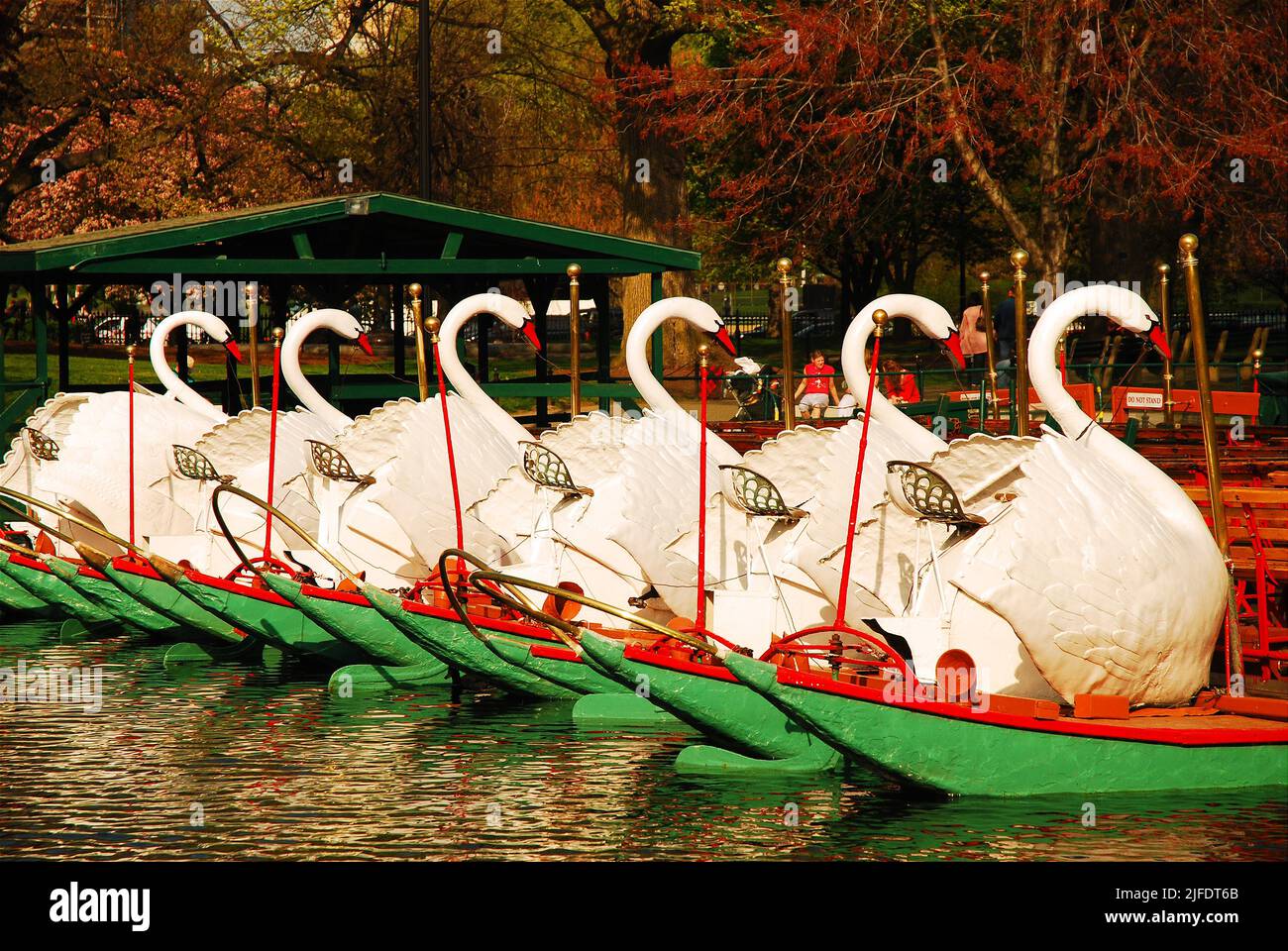 Die berühmten Swan-Boote des Boston Publik Garden, in der Nähe des Boston Common, werden am Ende des Tages an der Lagune angedockt und bieten Fahrgeschäfte Stockfoto