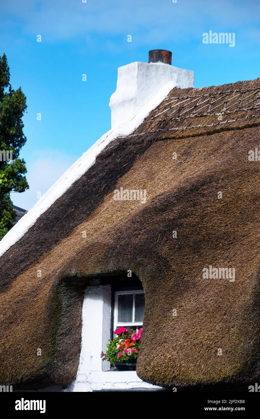 Stroh in Oranmore, Irland. Stockfoto